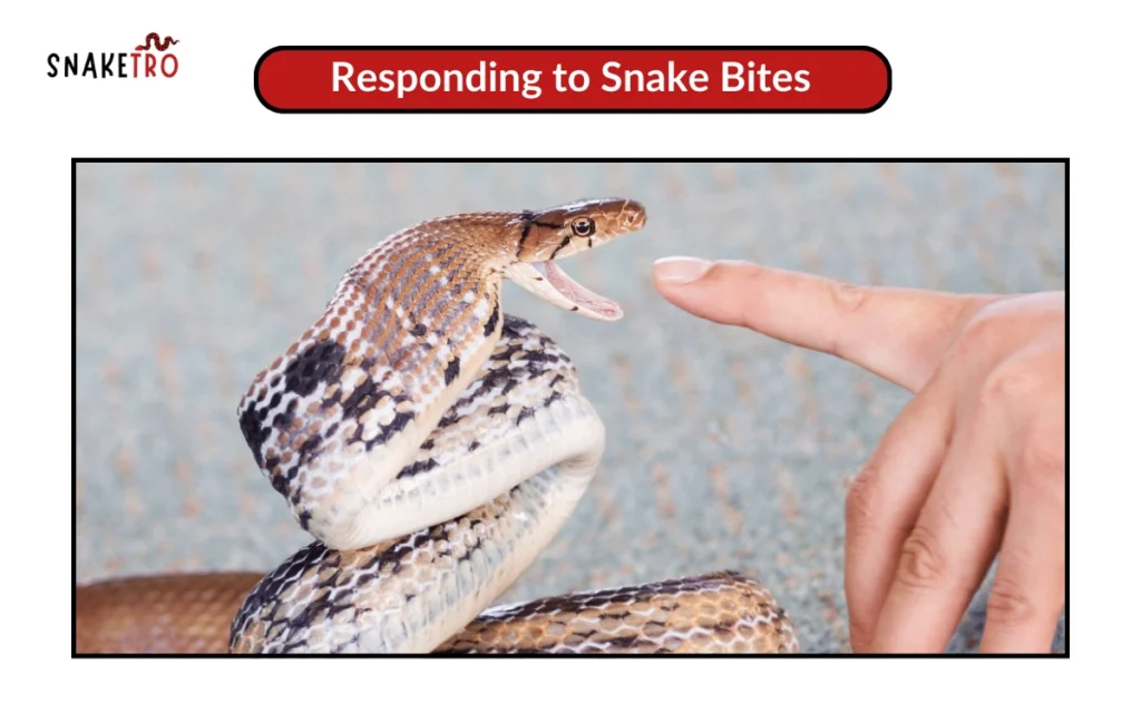 Responding to Snake Bites