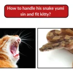 how to handle his snake yumi sin and fit kitty​